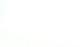 Galilea Montijo | Mezcalent