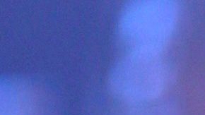 Paulina Rubio | Mezcalent