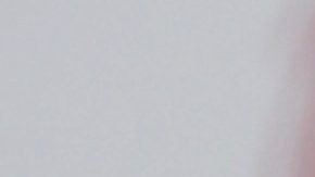 Mon Laferte | Mezcalent


19th Latin Grammy - Arrivals

In this photo: Mon Laferte