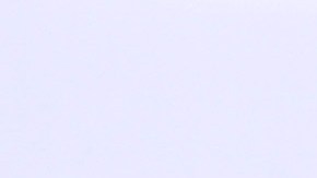 Juan Soler | Mezcalent