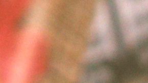 Jaime Camil | Mezcalent