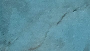 Aislinn Derbez | Mezcalent