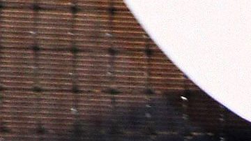 Kuno Becker | Mezcalent