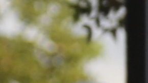 José Joel y Marysol Sosa | Mezcalent