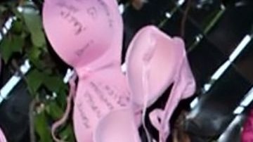 Michelle Renaud | Mezcalent