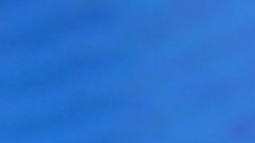 Danna Paola | Mezcalent