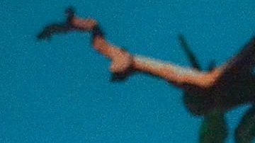 Karol Sevilla debe mantener una buena salud ante su estado de salud | Mezcalent