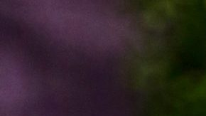 Alejandra Guzmán | Mezcalent