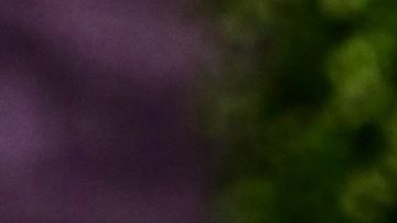 Alejandra Guzmán | Mezcalent