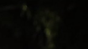 Alfredo Adame | Mezcalent