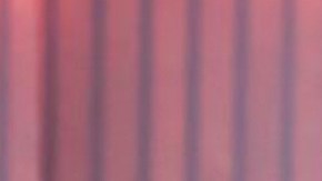 Ana bárbara | Mezcalent