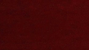 Demi Lovato en concierto | Mezcalent