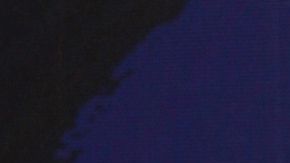 Danna Paola está al tanto de su perrita | Mezcalent