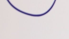 Rosie Rivera | Mezcalent