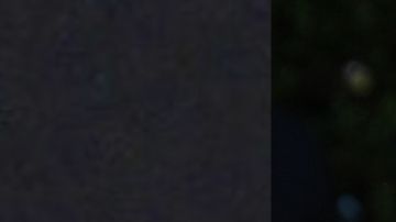 Aracely Arámbula vivió un gran romance con Luis Miguel. | Mezcalent