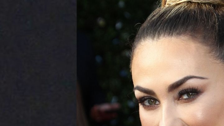 Aracely Arámbula vivió un gran romance con Luis Miguel. | Mezcalent