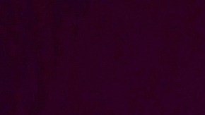 Eduardo Yañez | Mezcalent