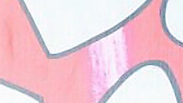 Fabiola Campomanes | Mezcalent