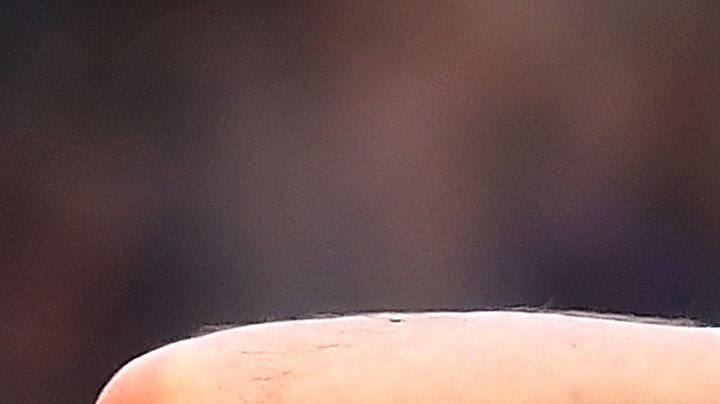 Javier Hernandez | Michael Regan / Getty Images