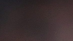 Javier Hernandez | Michael Regan / Getty Images