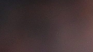 Javier Hernandez | Michael Regan / Getty Images