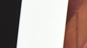 Elliot Page y Emma Portner | Getty Images, Theo Warg