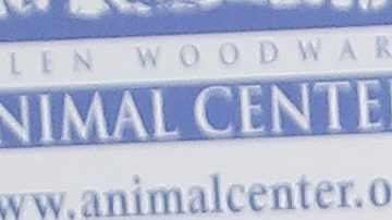 Kelly Clarkson | Getty Images, Tibrina Hobson