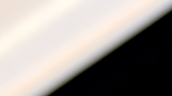Elon Musk | vía Getty Images