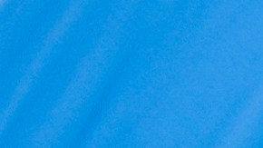 Donald Trump | Getty Images