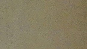 El presidente Biden y su familia posando en el Lincoln Memorial, durante la noche de espectáculos al cierre de la Investidura Presidencial | Getty Images