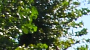 Georgina Rodriguez | Getty Images, Pascal Le Segretain