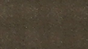 TikTok create a new U.S.-based company called TikTok Global | Sean Gallup / Getty Images