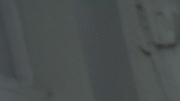 Bárbara Mori en la alfombra roja de la premier de Cantinflas, la película | Getty Images