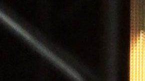 Thalía | Getty Images, PJ Yim