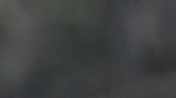 Ivanka Trump y Jared Kushner, |  Mark Wilson /Getty Images