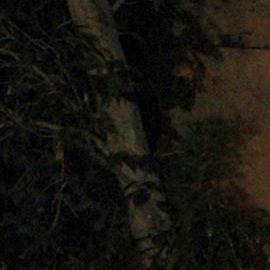 Manuel e Imanol Landeta