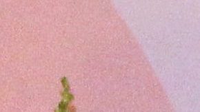 Marimar Vega y Horacio Pancheri