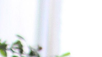 Mauricio Ochmann protagonizará una película con Maite Perroni | Mezcalent