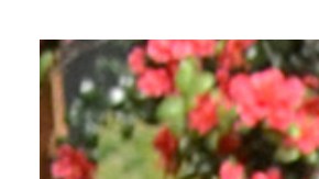 Pati Chapoy - Galilea Montijo | Mezcalent