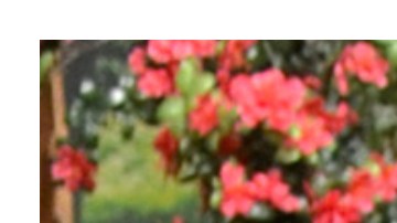 Pati Chapoy - Galilea Montijo | Mezcalent