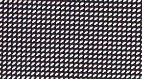 Paty Cantú | Mezcalent