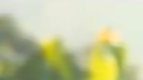 William Levy y Laura Londoño terminaron las grabaciones de Café con Aroma de Mujer | Telemundo