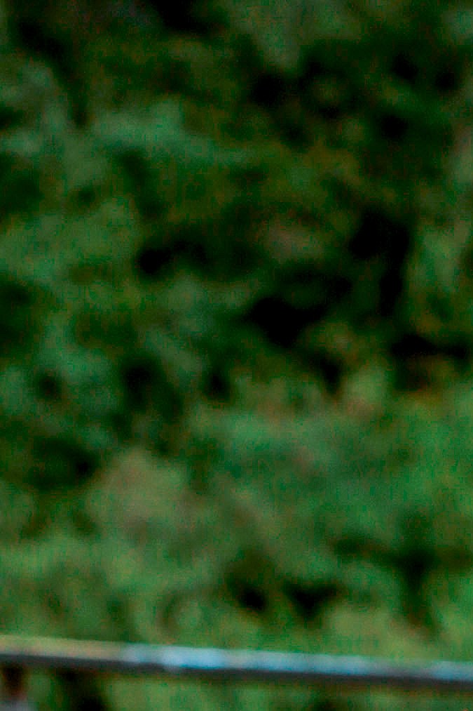 Frederik Oldenburg, conductor de 'Exatlón Estados Unidos'