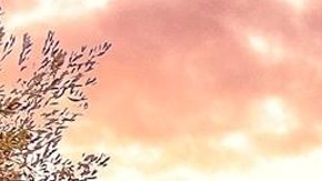 Los protagonistas de 'Fuego Ardiente'