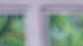 María Levy | vía Mezcalent