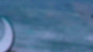 Danilo Carrera y Michelle Renaud