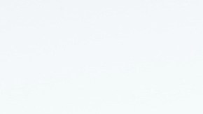 Omar Chaparro | Mezcalent