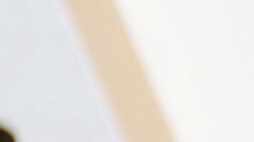 Salma Hayek | Mezcalent