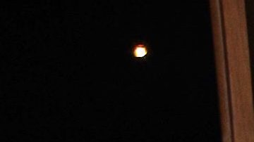 Andrea Escalona | Mezcalent