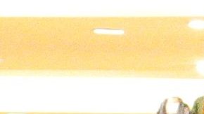 Jorge "El Burro" Van Rankin de compras con sus sobrinos | Mezcalent